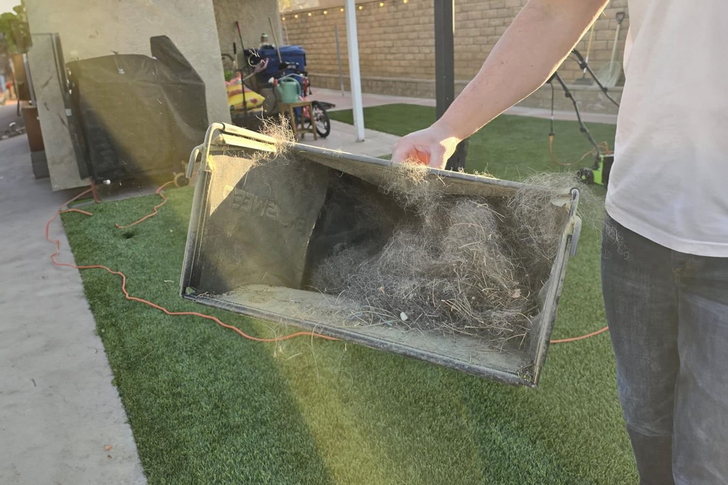 Cleaning Pet Hair From Turf