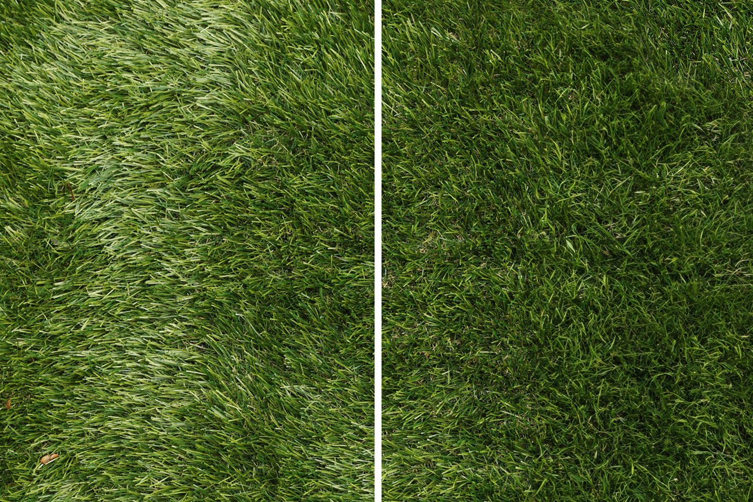 Can My Tired Turf Be Restored?